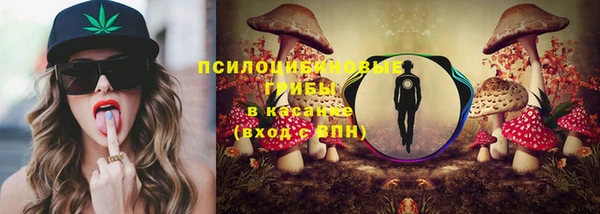 бошки Арсеньев