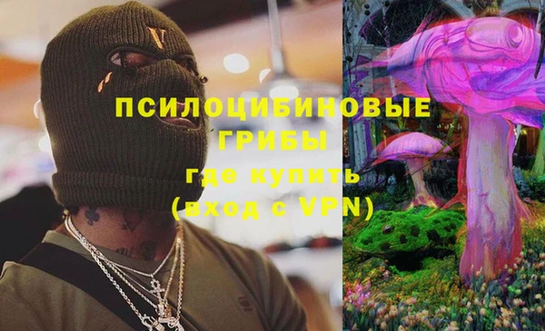 бошки Арсеньев