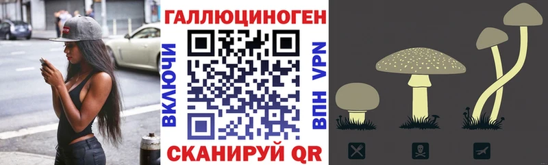 Галлюциногенные грибы мицелий Саяногорск